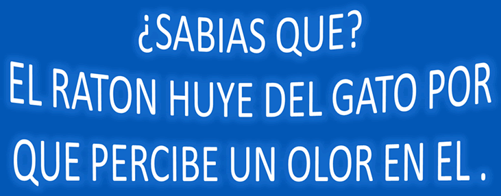 Los ratones huyen de los gatos por que ...